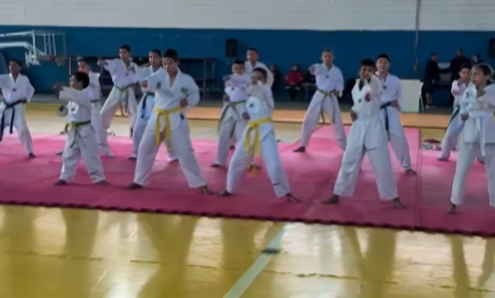 Araçariguama realiza Festival de Lutas The Ultimate Bravus