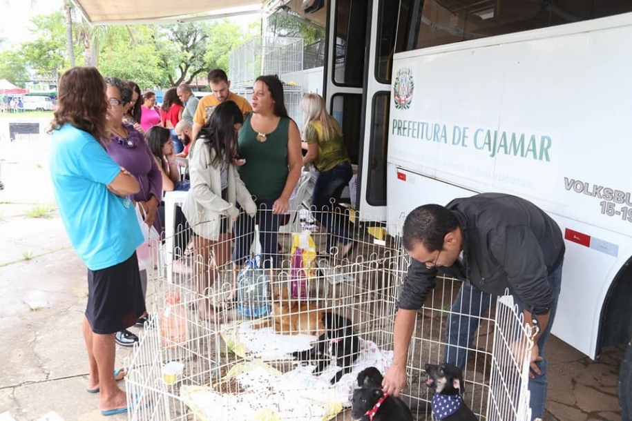 Feira de Adoção em Cajamar garante novo lar para cães e gatos