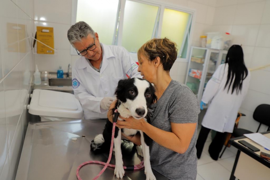 Vacinação contra raiva para cães e gatos continua em julho em Barueri