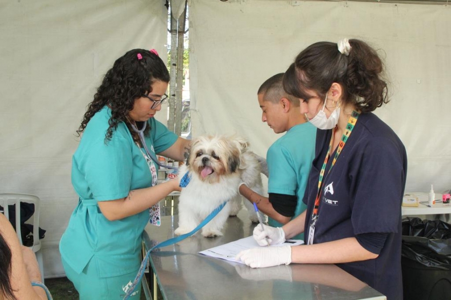 Dia Animal acontece neste fim de semana em Barueri