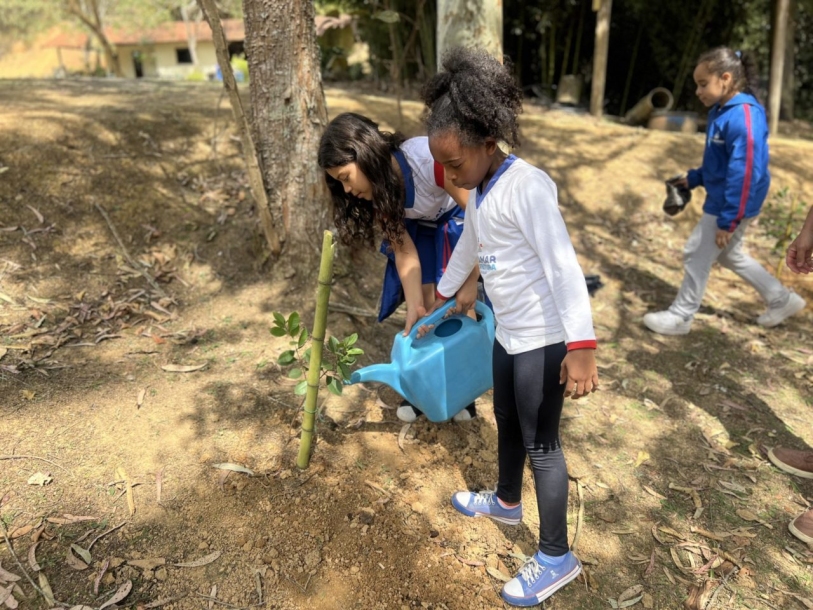 Cajamar celebra o Dia da Árvore com plantio de mudas de araçá no bairro Ponunduva
