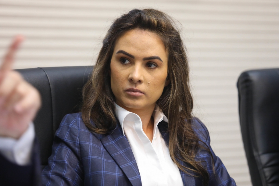 Deputada estadual Bruna Furlan realiza audiência pública da Comissão de Saúde 