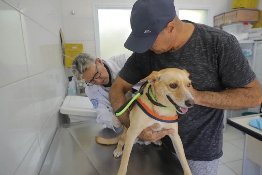 Centro Jaraguá Mirim terá posto de vacinação contra raiva para cães e gatos em Barueri 