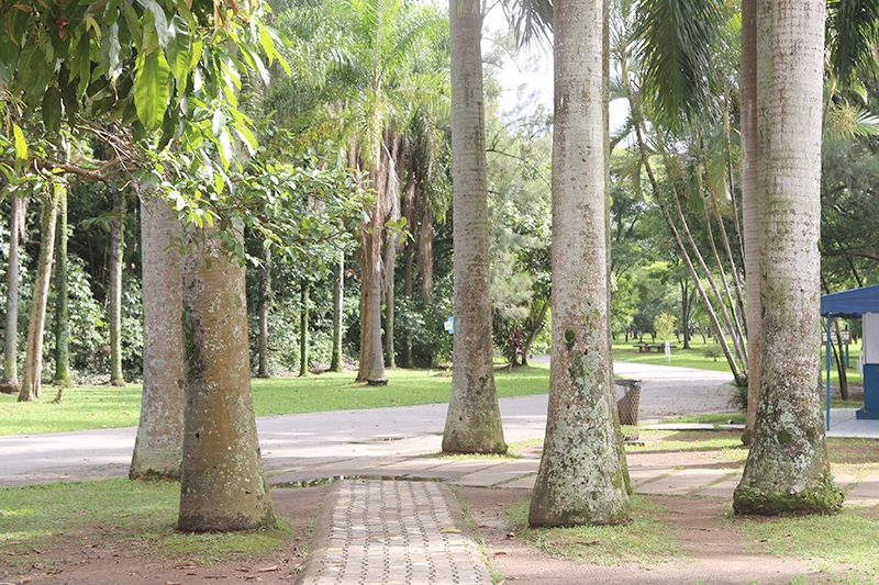 Prefeitura de Barueri já começou a revitalização do Parque Municipal
