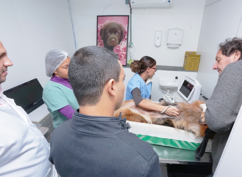 Hospital Veterinário Público de SP pode ser a referência 