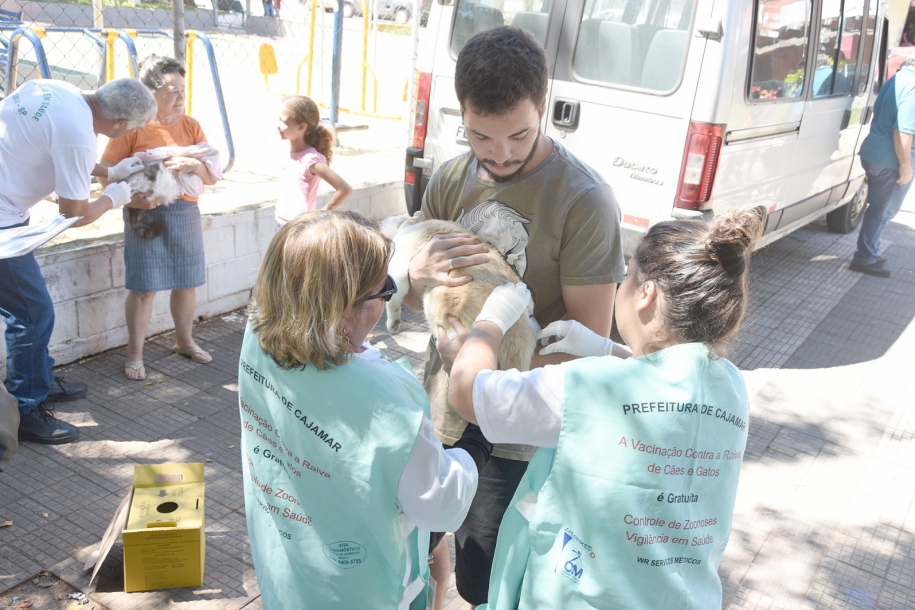 Mais de 4,5 mil cães e gatos já foram vacinados contra raiva