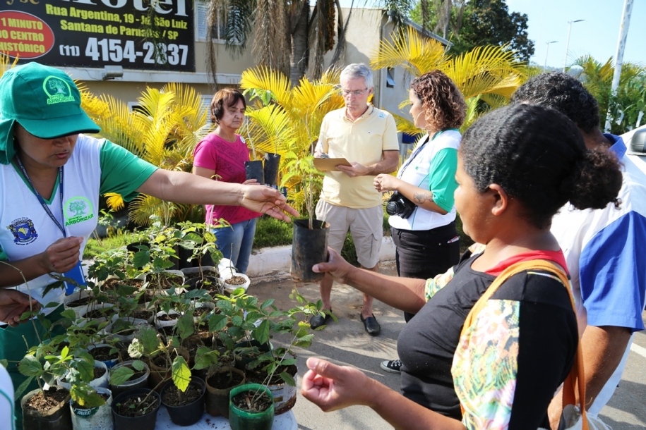 Meio ambiente realiza plantio de mudas no Dia da Árvore