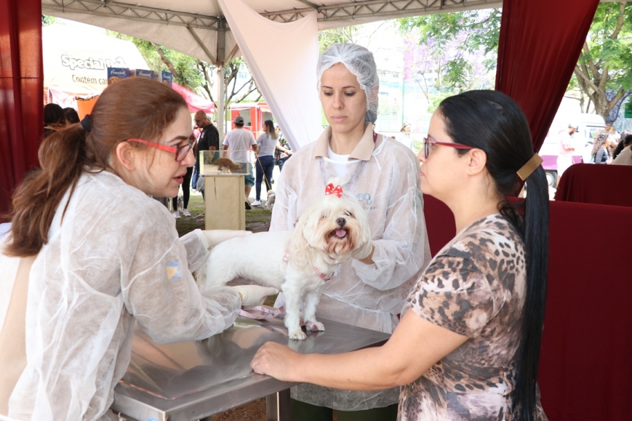 Dia Animal atrai milhares de pessoas com seus pets ao Parque