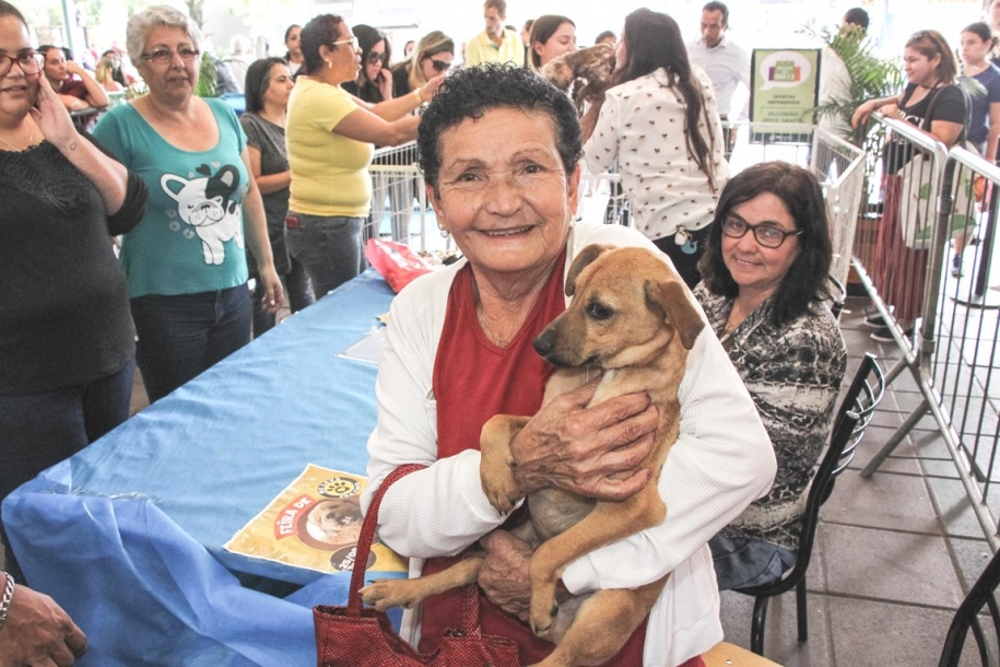 Itapevi recebe 3ª Feira de Adoção de Cães e Gatos no Ita Shopping