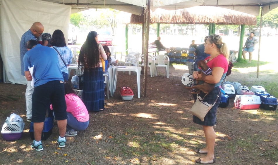 366 animais foram castrados na campanha mais recente de Barueri