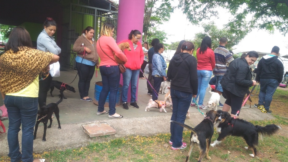 Próximo agendamento para castração gratuita será em dezembro