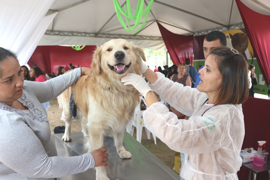 Castração gratuita: Sema Barueri abre período de cadastramento