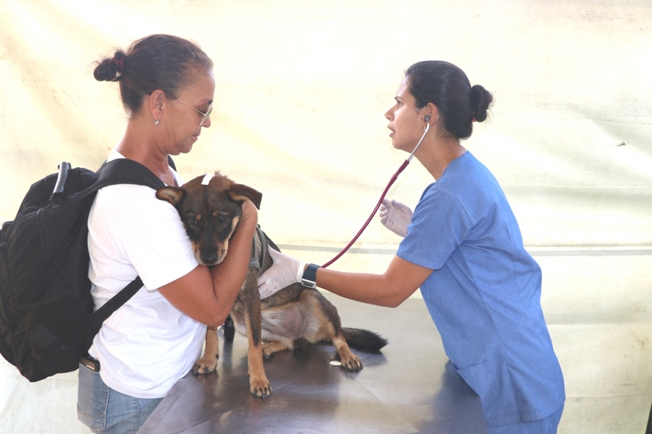 Barueri realiza nova campanha de castração em abril