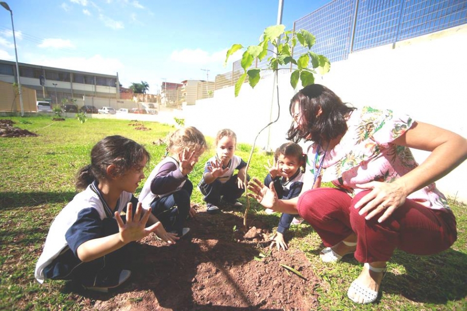 Educação incentiva alunos do Colégio Ana Serra a plantarem mudas