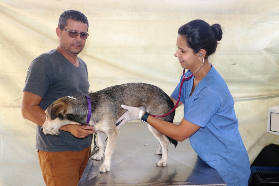 Em junho, Barueri fará cadastro para castração de cães e gatos