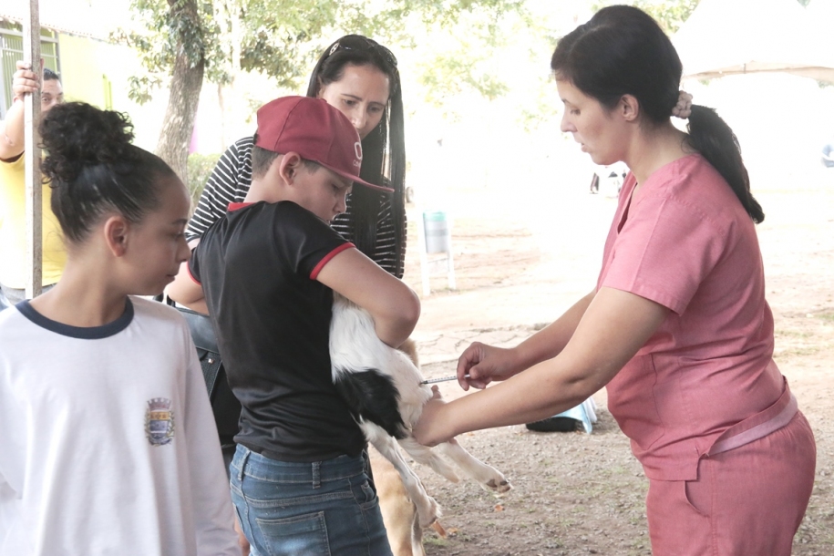 Barueri realizou 513 castrações de cães e gatos neste mês