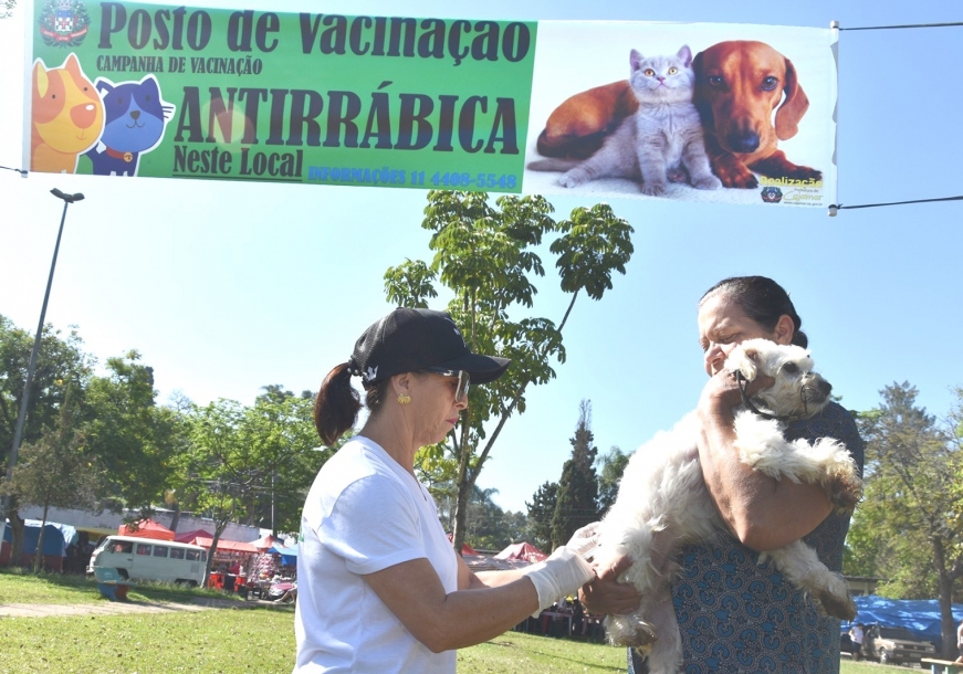 Ministério da Saúde suspende campanha de vacinação antirrábica