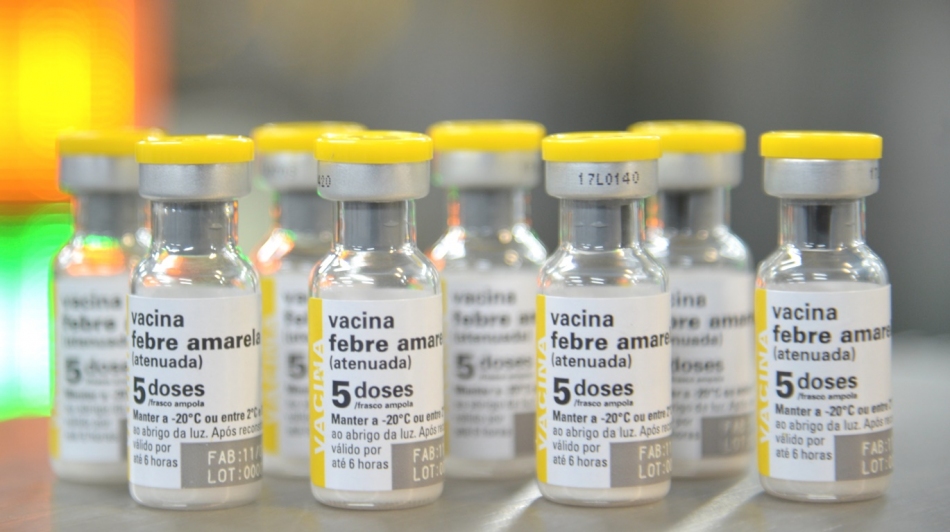 Risco de morte por febre amarela pode ser identificado mais cedo