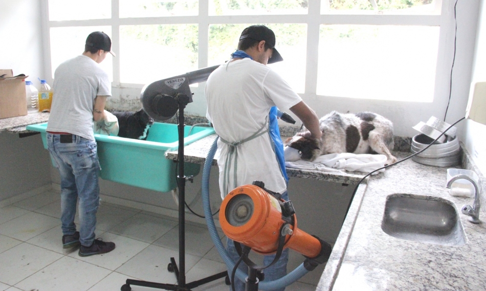 Barueri recebe certificado de qualificação Município VerdeAzul