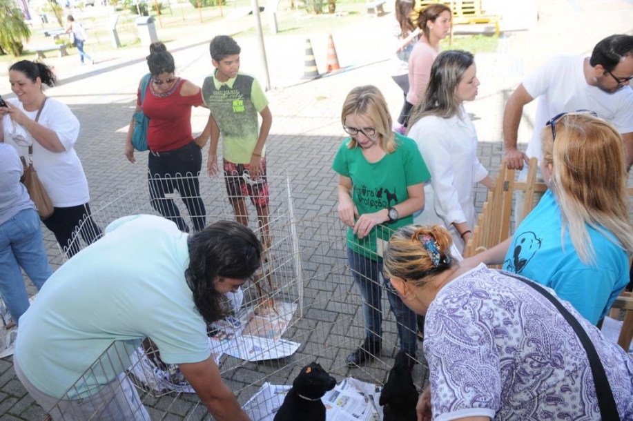 Cajamar realiza 5ª Feira de Adoção de Cães e Gatos