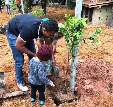 Barueri promove Dia da Árvore com projetos e plantio de mudas