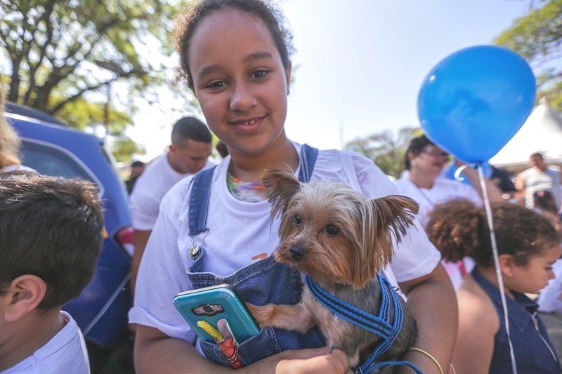 Prefeitura de Itapevi vai promover a 4ª Cãominhada na cidade