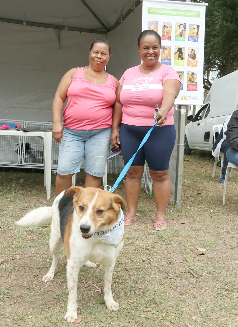 Cepad Barueri promove adoção de 61 cães e gatos em outubro