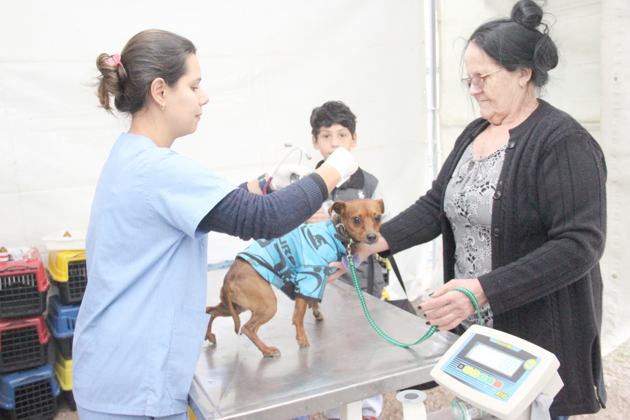Agendamento para castração de pets acontece dia 29