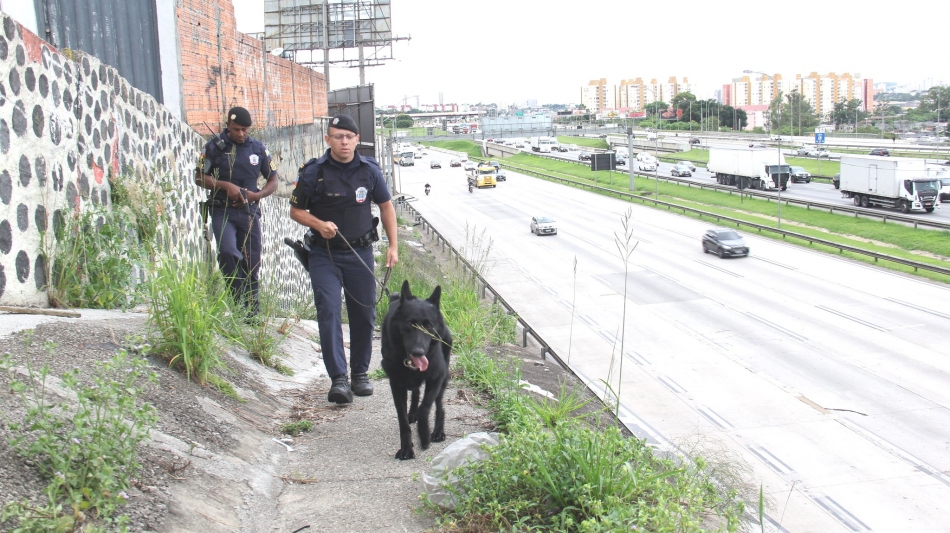 Operação das forças de segurança garante mais proteção na Castelo