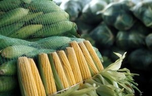 Agronegócio em SP registra alta de 3,9% nas exportações