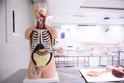 MEC destina R$ 39,7 milhões a universidades sem hospital próprio