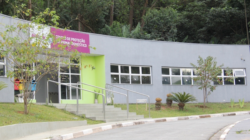 Adoção de animais bate recorde e ganha número de WhatsApp