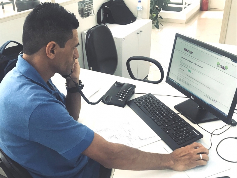 Agendamento para castração de cães e gatos retorna neste mês