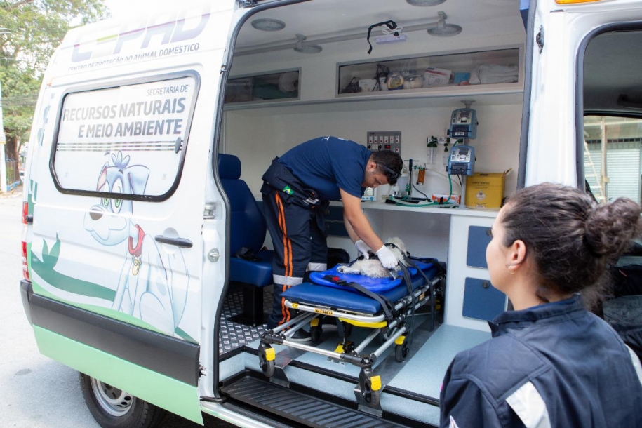 Barueri recebe prêmio internacional Cidade Amiga dos Animais