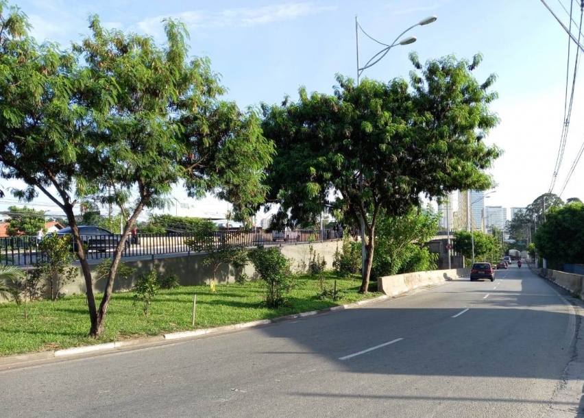 Obra da ponte Akira Hashimoto em Alphaville vai começar