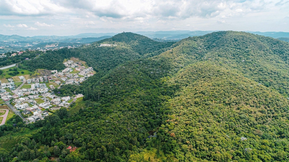 Projeto AMA atuará na fiscalização e preservação do meio ambiente