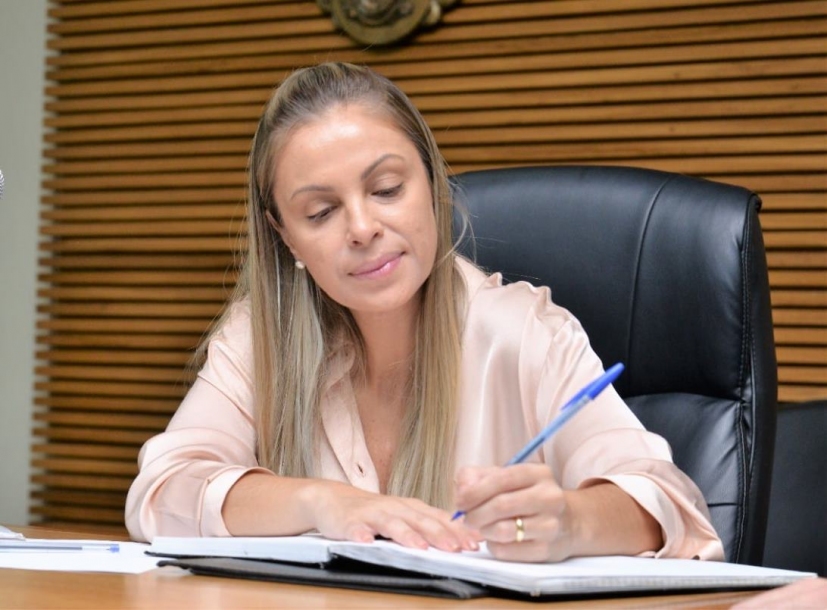 Câmara de Santana de Parnaíba fará sessão on-line nesta terça 