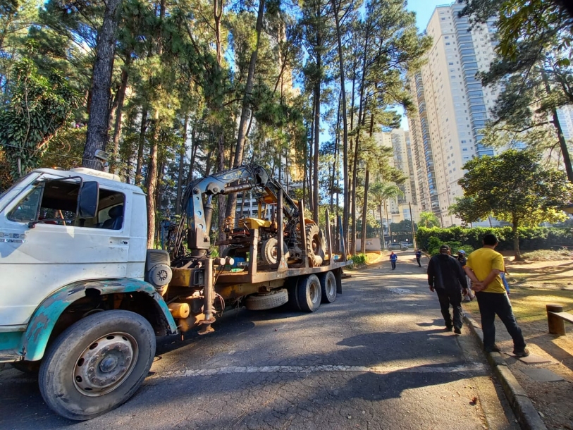 Barueri realiza quase três mil podas de árvores em um ano