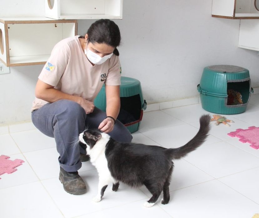 Barueri terá ponto fixo de vacinação de pets contra a raiva