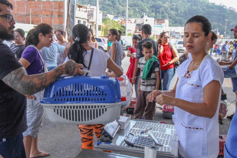 Parnaíba realiza castração gratuita de mais de 200 animais de estimação