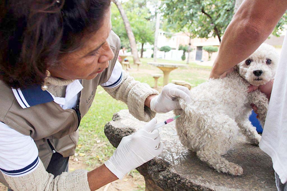 Começa Campanha de Vacinação Antirrábica em Osasco