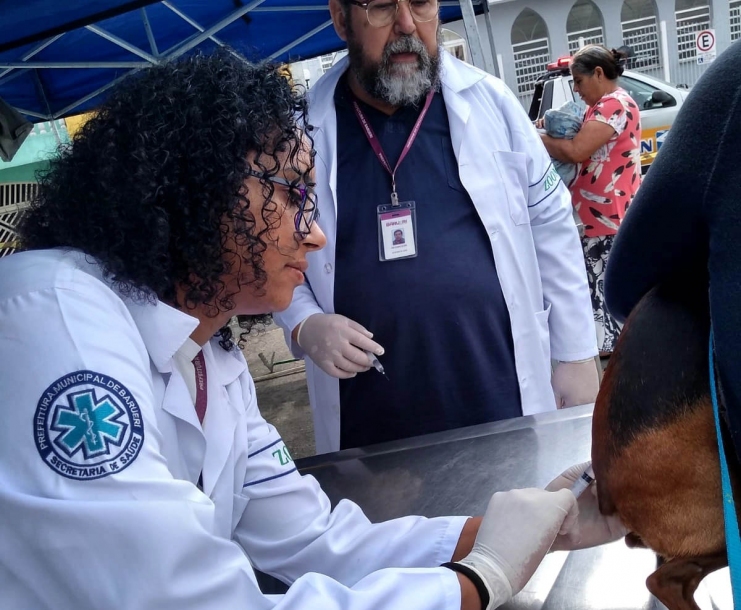Barueri inicia agendamento para vacinação gratuita de cães e gatos