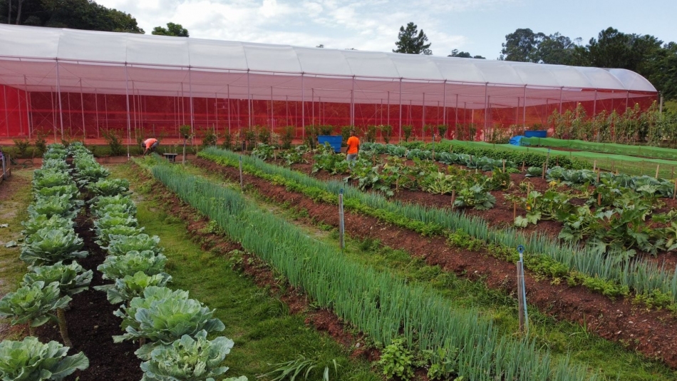 Rubens Furlan enaltece Programa Renascer que atende 450 famílias