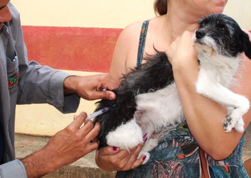 Itapevi dobrará número de cães e gatos vacinados com a antirrábica