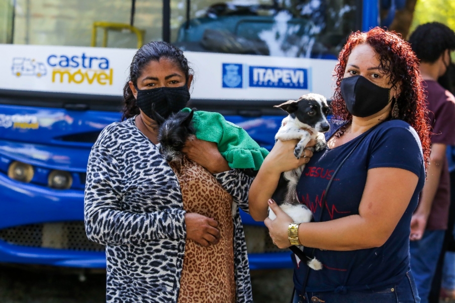 Itapevi já realizou 10 mil castrações de cães e gatos