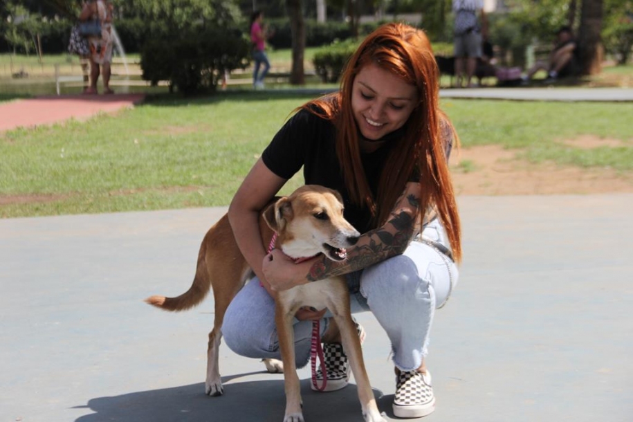 Campanha de castração em Barueri realiza 762 procedimentos cirúrgicos