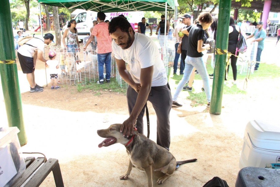 Parque Dom José terá Feira de Adoção de Cães neste sábado