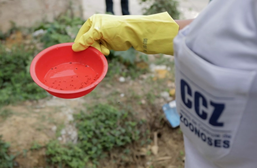 Cajamar intensifica ações de prevenção e controle contra a dengue