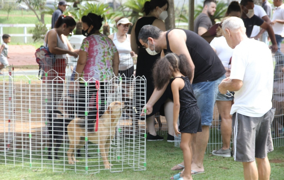 Festa Julina da Sema terá Feira de Adoção de pets e muitas atrações