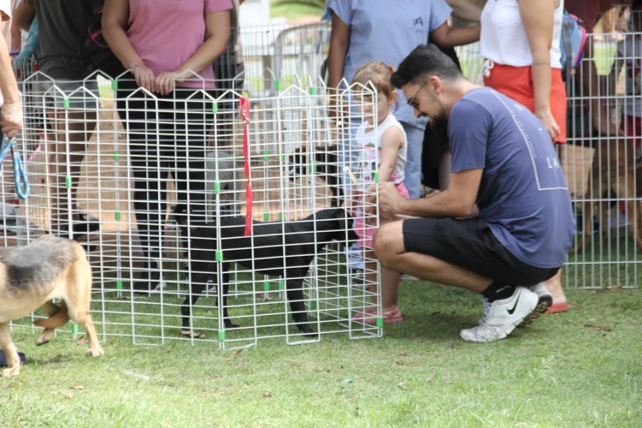 Feira de Adoção de Cães em Barueri retorna neste final de semana